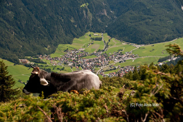 ein sonnenbad.jpg